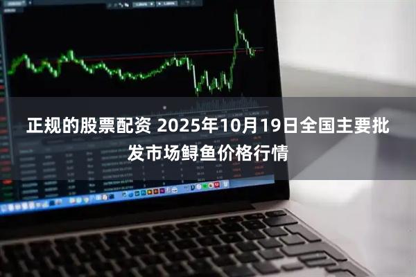 正规的股票配资 2025年10月19日全国主要批发市场鲟鱼价格行情